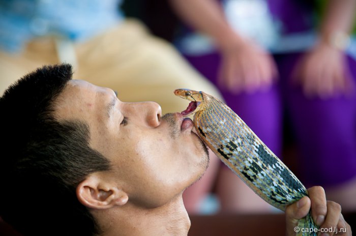 Тайланд : Остров Пхукет