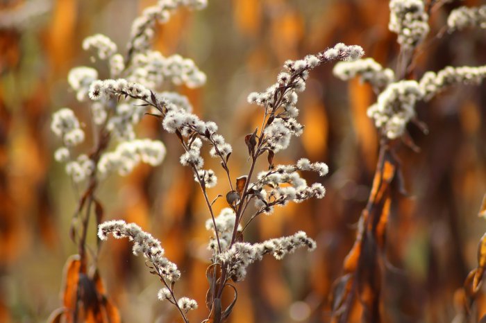 Обои на рабочий стол / Desktop wallpapers 558