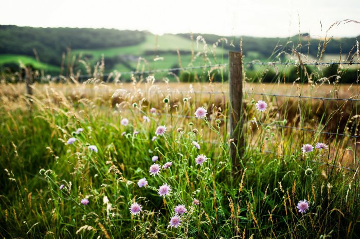 Обои на рабочий стол / Desktop wallpapers 558