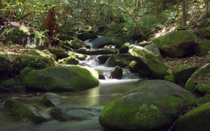 Обои на рабочий стол / HD Computer Mix Wallpaper 7