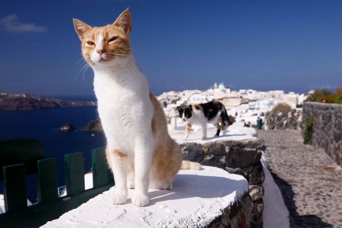 Остров Санторини