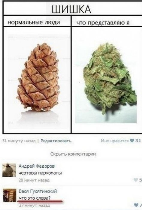 Говорят социальные сети!