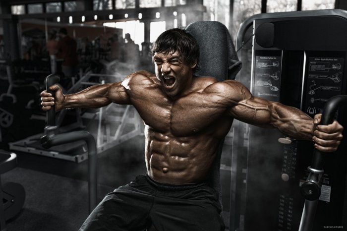 Качата и фитоняшки (Warez Версия)