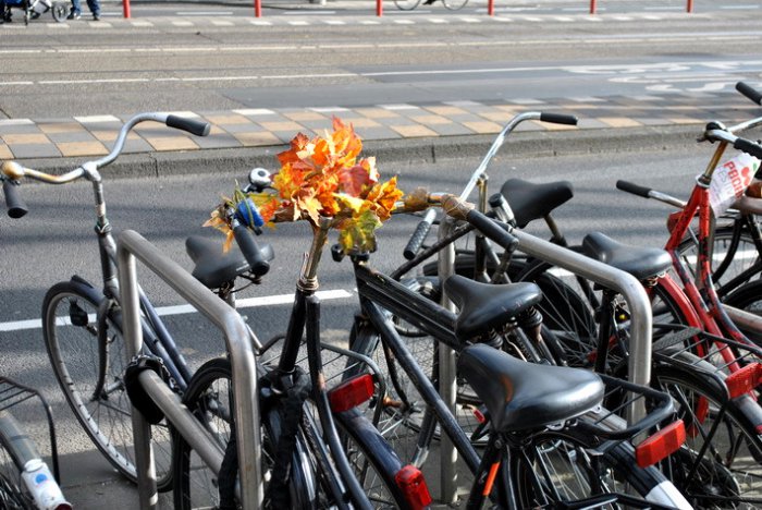 Прогулка по весеннему Амстердаму Прогулка по весеннему Амстердаму