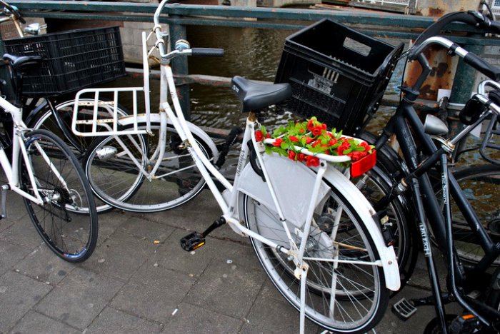 Прогулка по весеннему Амстердаму Прогулка по весеннему Амстердаму