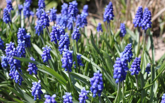 Обои на рабочий стол / Best HD Wallpapers Pack 1119