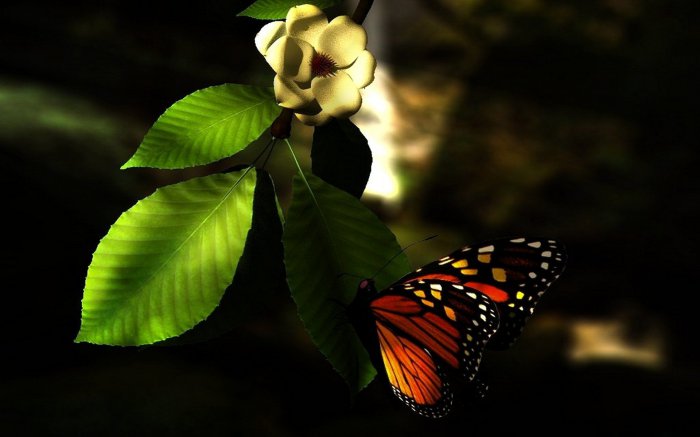 Обои на рабочий стол / Best HD Wallpapers Pack 1119