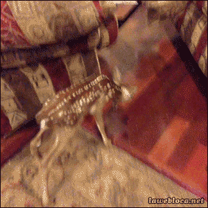 Утром 1го числа