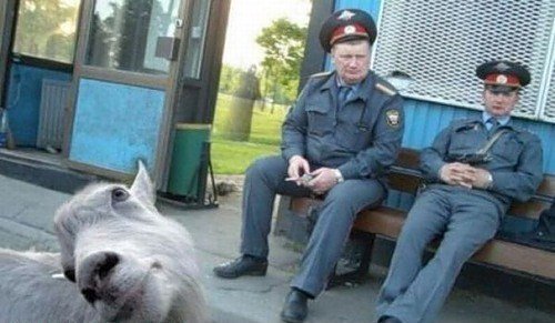 Аварии и ДТП. Январская подборка 2014