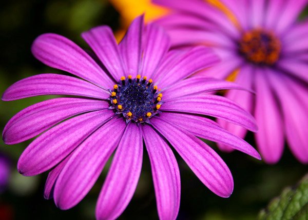 Обои на рабочий стол / Wallpapers by famdoc mix 78