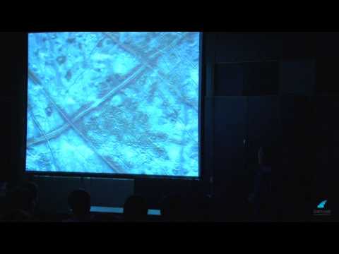 Владимир Сурдин (ГАИШ МГУ) "Поиски жизни на других планетах"