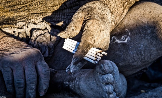 Грязнуля из Ирана