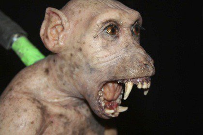 «Спираль»: страшное на белом «Спираль»: страшное на белом