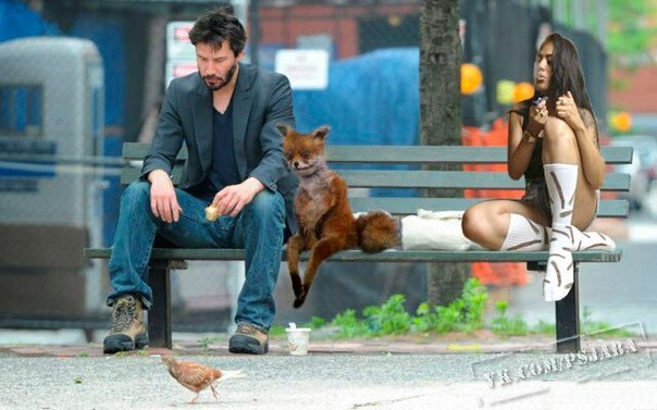 Отредактируйте мою фотку