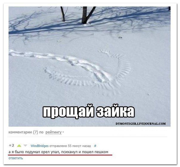 Смешные комментарии из социальных сетей (35 фото)