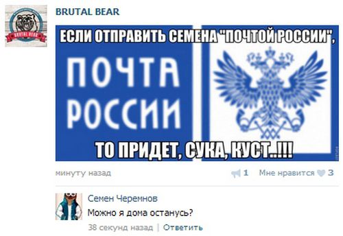 Смешные комментарии из социальных сетей (35 фото)