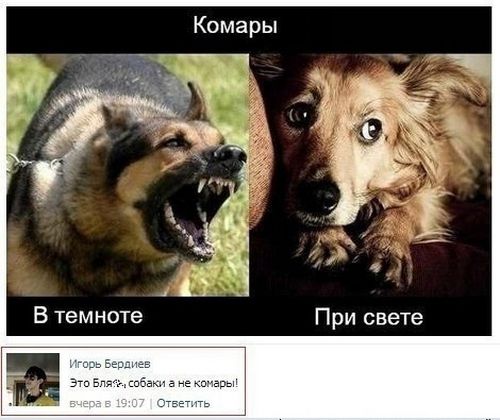 Смешные комментарии из социальных сетей (35 фото)