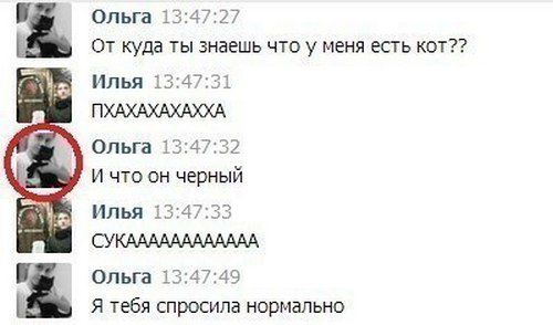 Смешные комментарии из социальных сетей (35 фото)