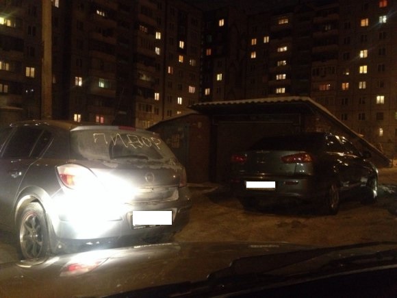 За неправильную парковку красноярцу расписали машину бранью