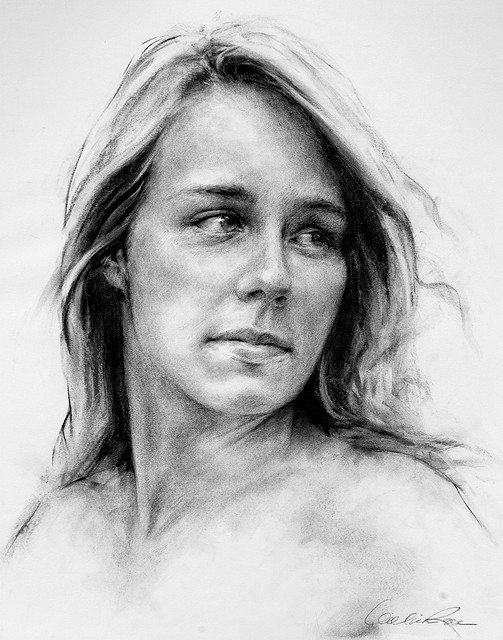 Рисует William ROSE