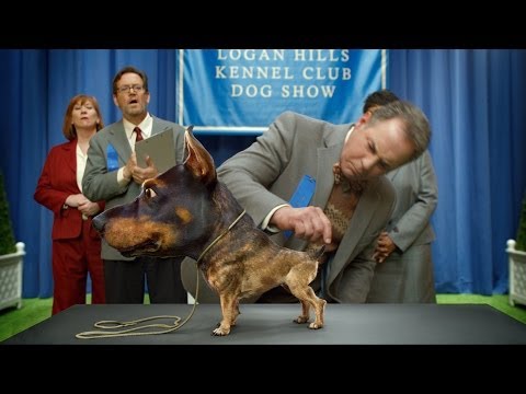 Доберхуахуа и Audi