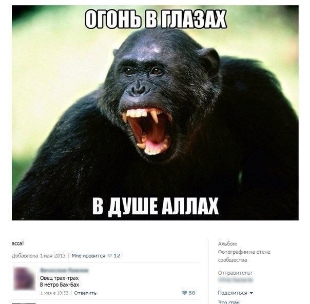 Жизнь без мозга возможна! (Социальные сети.)