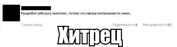 Жизнь без мозга возможна! (Социальные сети.)