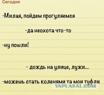 Жиденькая подборка пятничных вяло-прикольных картинок