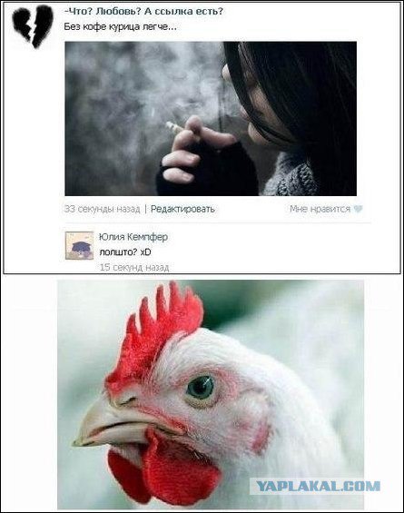 Жиденькая подборка пятничных вяло-прикольных картинок