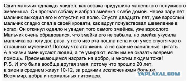 Жиденькая подборка пятничных вяло-прикольных картинок
