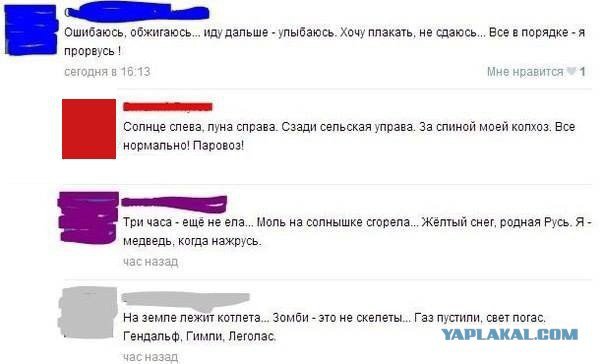 Жиденькая подборка пятничных вяло-прикольных картинок