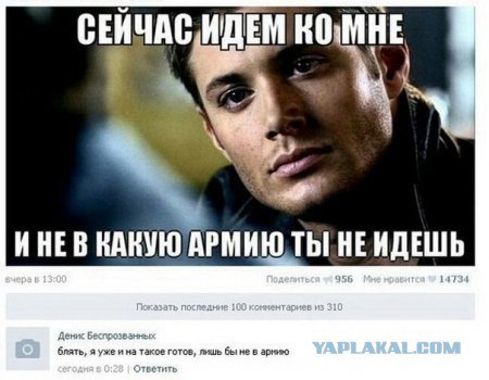 Жиденькая подборка пятничных вяло-прикольных картинок