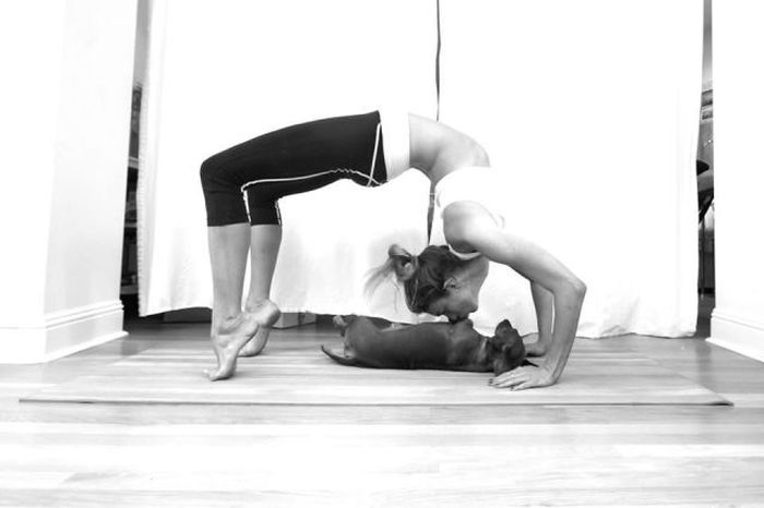 Забавные картинки