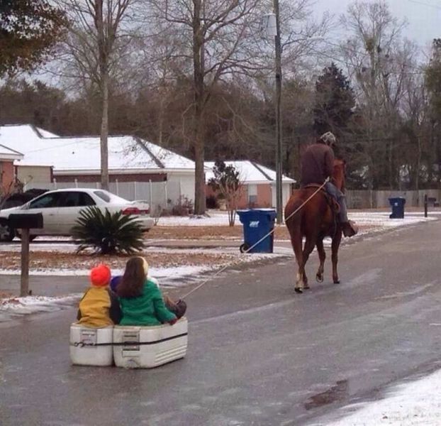 Забавные картинки