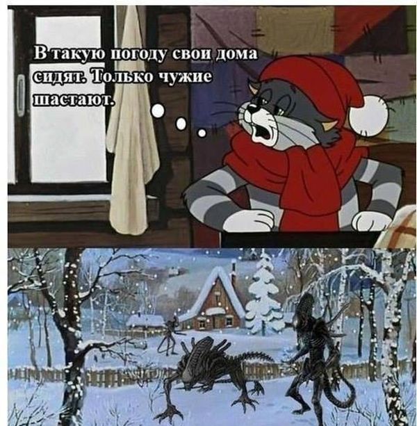 Забавные картинки