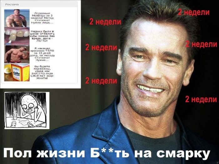 Забавные картинки