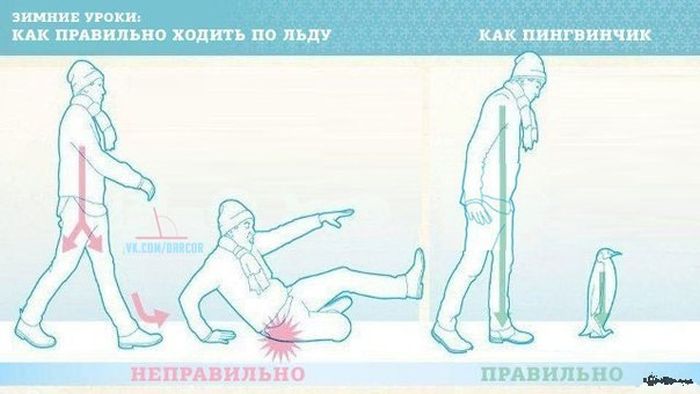 Забавные картинки