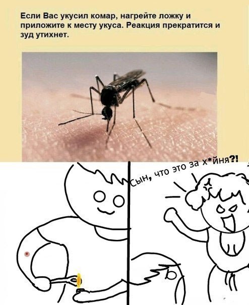 Забавные картинки