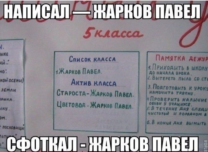 Забавные картинки