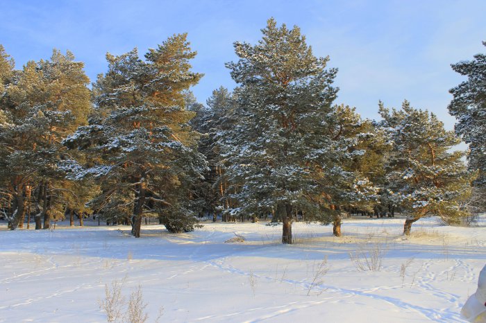 Обои на рабочий стол /Wind Wallpapers Pack 2