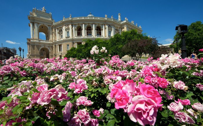 Обои на рабочий стол / Best HD Wallpapers Pack 1131 