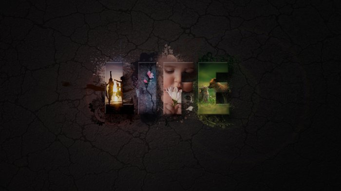 Обои на рабочий стол / 200 Amazing Mixed FullHD Wallpapers (Set 61)