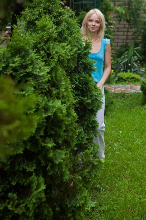 Feeona A - Adynamia 18+