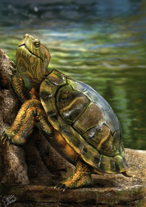 Рисует Cris De Lara