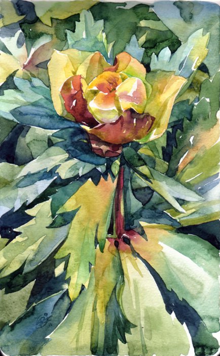 Акварели художника Chernotrav