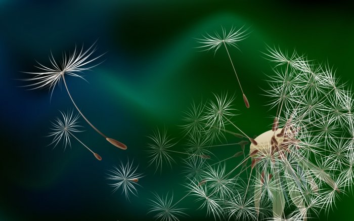 Обои на рабочий стол / HQ Wallpapers Pack (Part 210)