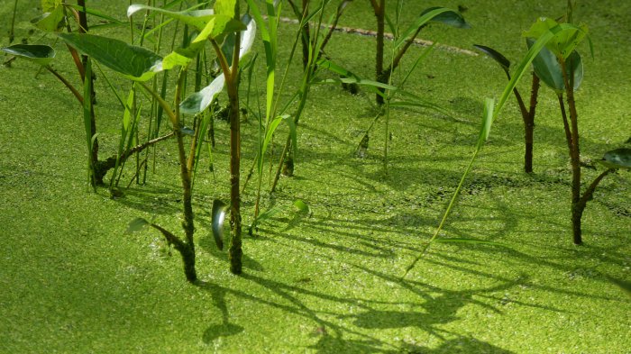 Обои на рабочий стол / HQ Wallpapers Pack (Part 210)