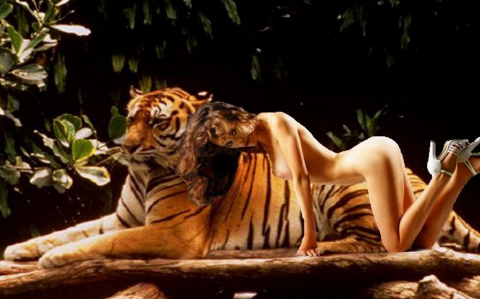 Обои на рабочий стол / Girls. Super Girls For You 436 (18+)