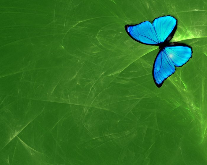 Обои на рабочий стол / Wallpapers by  famdoс mix 83