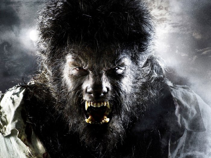 Обои на рабочий стол / Wallpapers by  famdoс mix 83